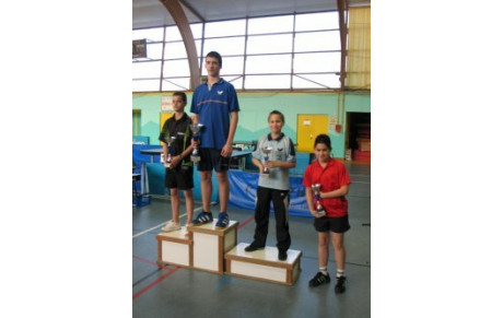Championnat de la Sarthe par catégories 