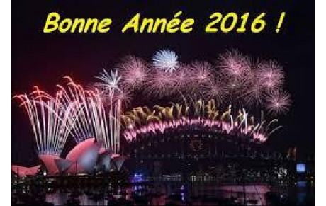 BONNE ANNÉE 2016