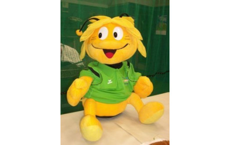 Remise des nouveaux maillots